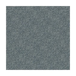 0031