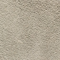 Wealthy Gathering 29