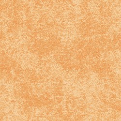 Serenade 283
