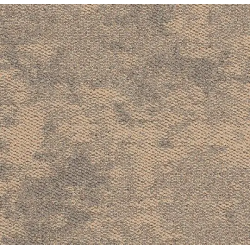 3405